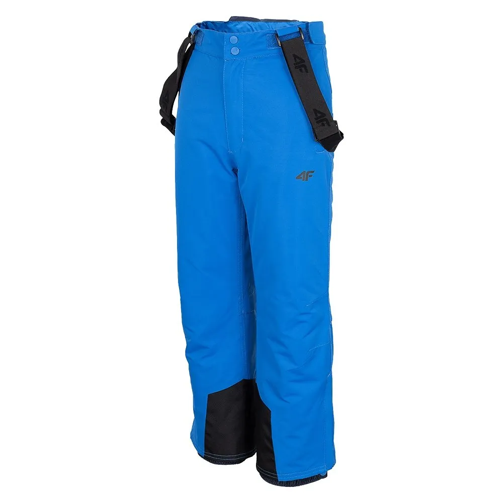 4F Gronk Insulated Ski Pant (Boys')