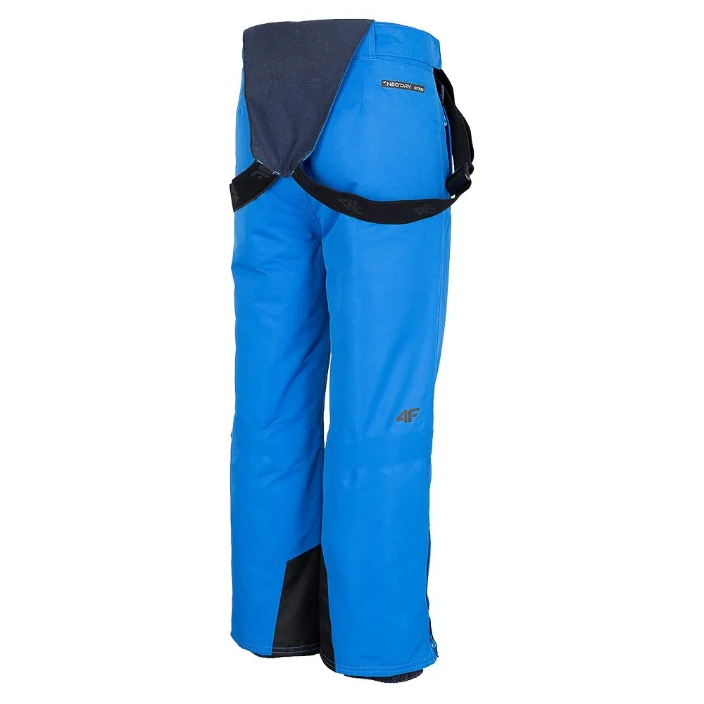 4F Gronk Insulated Ski Pant (Boys')