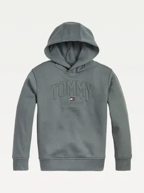 Boys 8-16 Logo Hoodie | Hoodies | Tommy Hilfiger