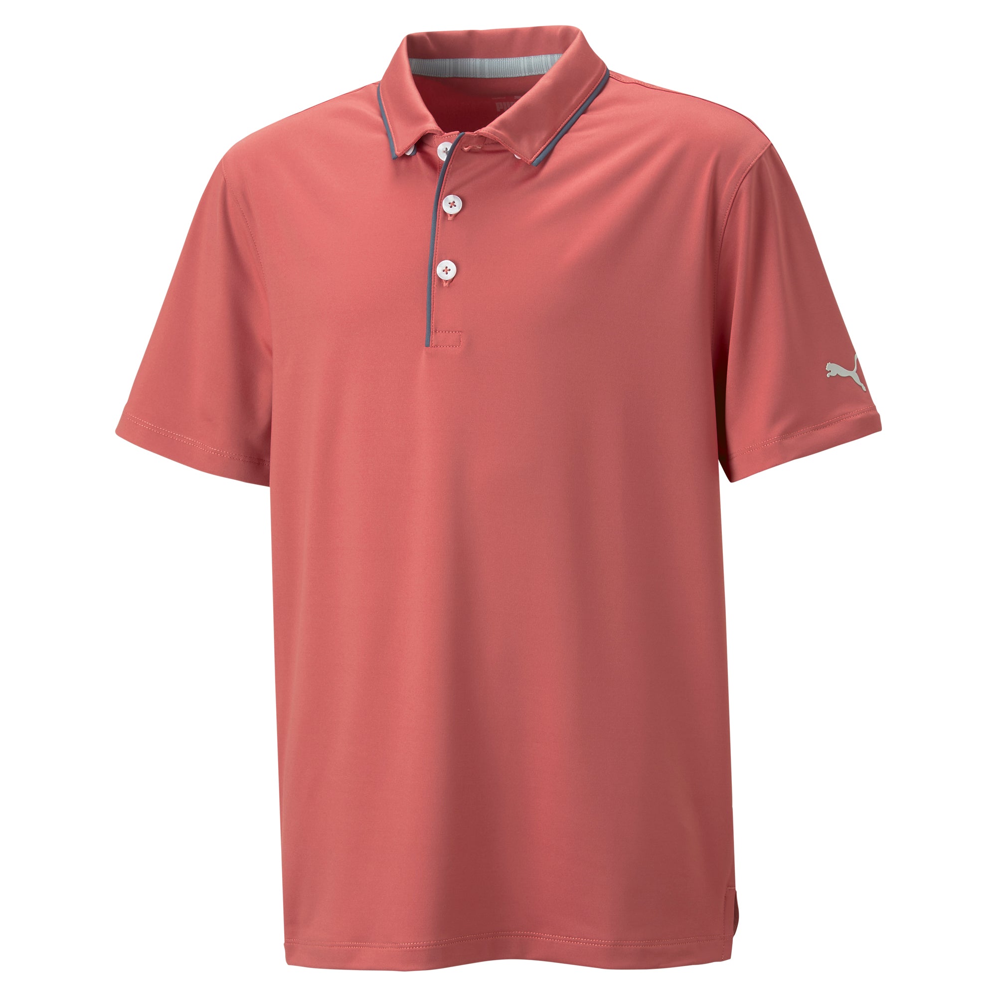 Boy's MATTR Bridges Golf Polo