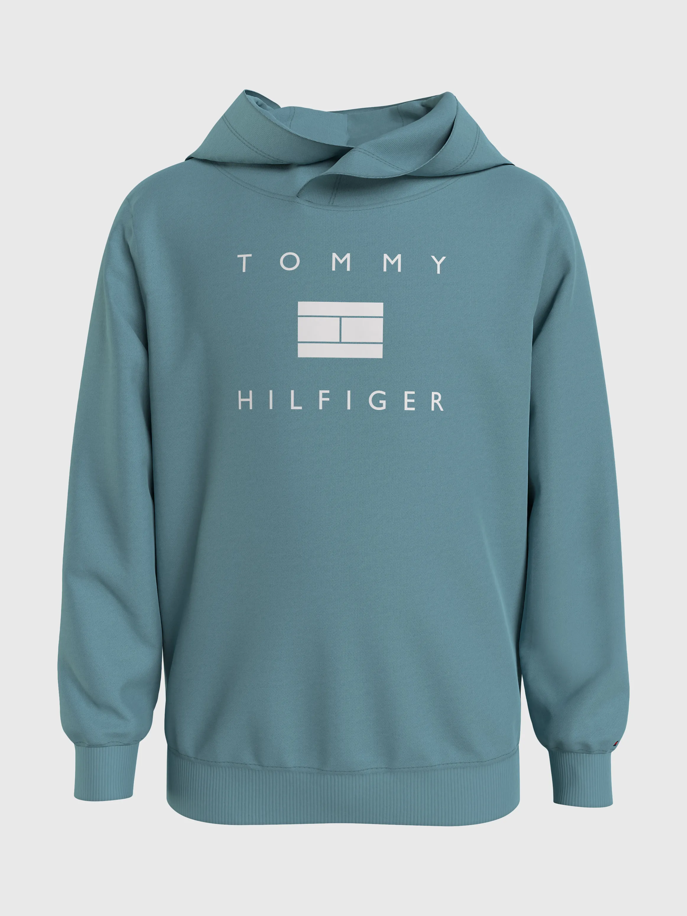 Flag Logo Hoodie | Sweatshirts & Hoodies | Tommy Hilfiger