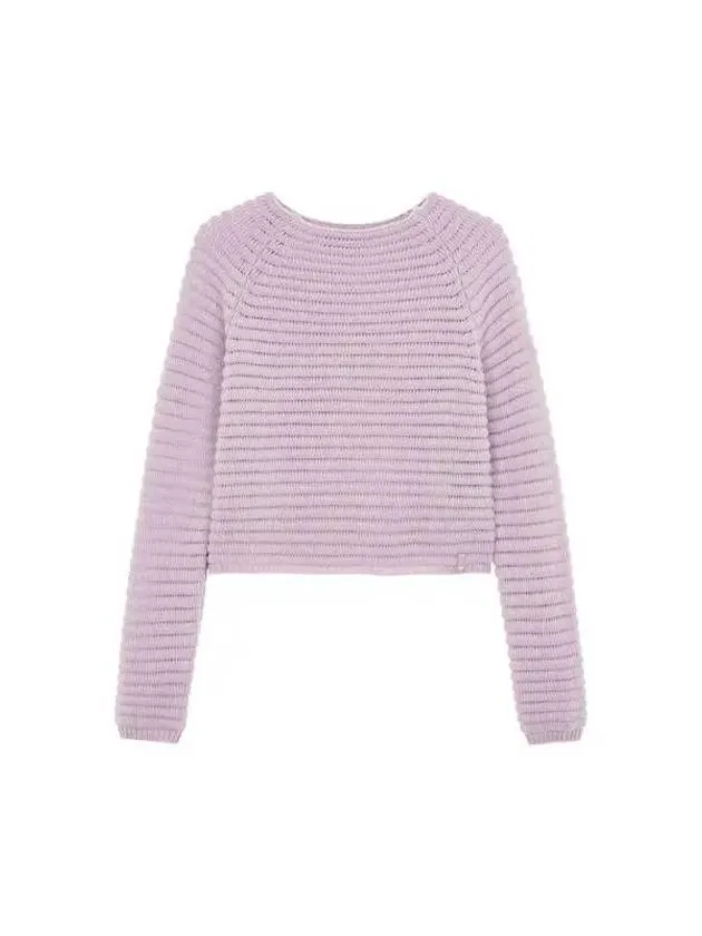 Women s Striped Wool Raglan Knit Light Purple 270559